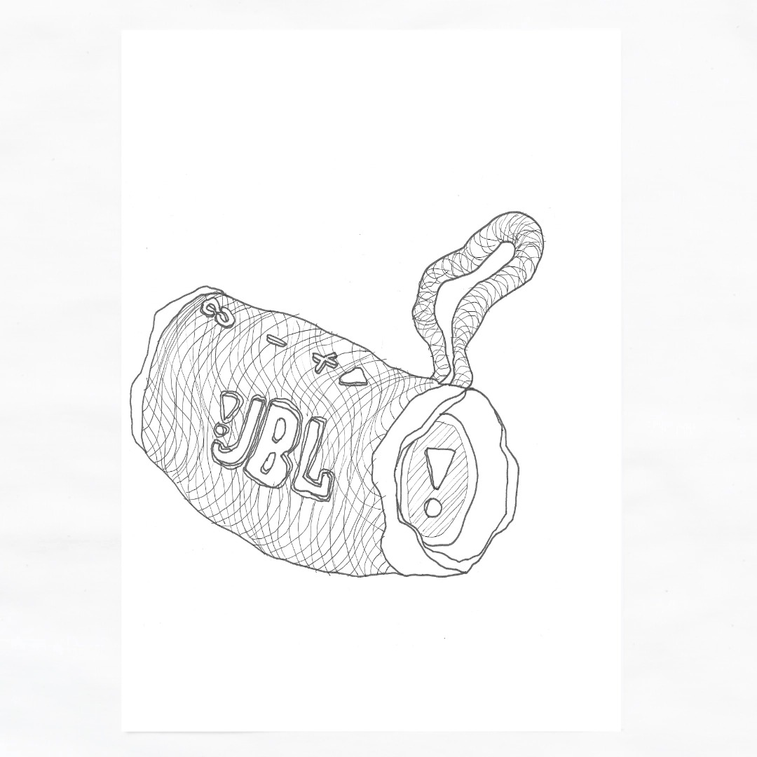 JBL Flip 6 by Harry Gilson (06/02/2026)