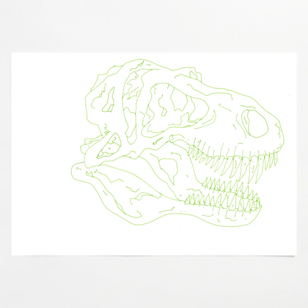 T-Rex Skull by Harry Gilson (13/02/2026)
