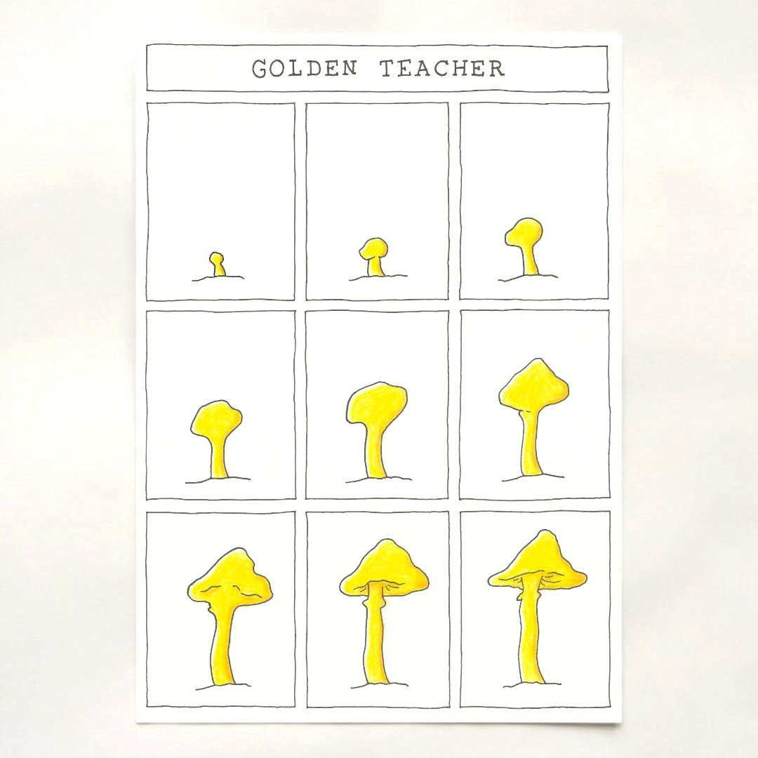 Golden Teacher by Harry Gilson (09/01/2026)